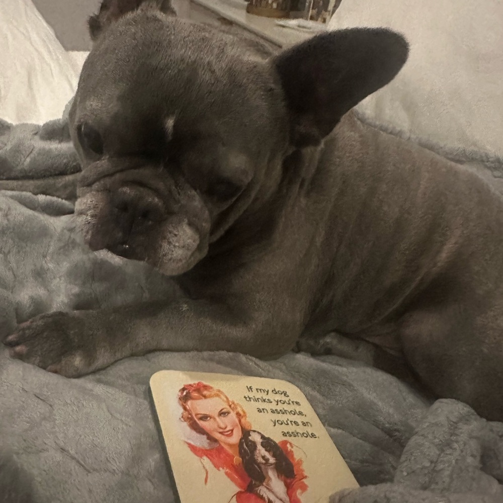 Meet your Posher, Maria